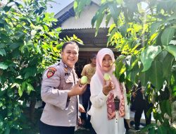 Forkopimka Porong Apresiasi Keberhasilan Warga Kedungsolo Budidaya Jambu Air, Berpotensi Dukung Ketahanan Pangan Nasional