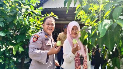 Forkopimka Porong Apresiasi Keberhasilan Warga Kedungsolo Budidaya Jambu Air, Berpotensi Dukung Ketahanan Pangan Nasional