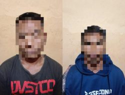Aksi Pencurian Sapi di Sumbawa Digagalkan Polisi, Dua Pelaku Diamankan