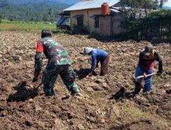 Babinsa Kodim Ponorogo Bantu Petani Cangkul Lahan