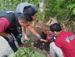 Bentrok Berdarah di Sabedo Sumbawa, Dua Tewas dan Polisi Terus Lakukan Pengamanan