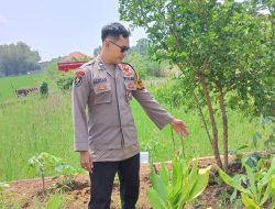 Bhabinkamtibmas Desa Balongtani Tinjau Lahan Pekarangan Warga untuk Dukung Ketahanan Pangan Bergizi