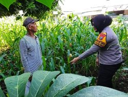 Bhabinkamtibmas Desa Kedungpandan Tinjau Lahan Pekarangan Warga, Dukung Program Ketahanan Pangan Bergizi