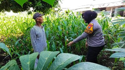 Bhabinkamtibmas Desa Kedungpandan Tinjau Lahan Pekarangan Warga, Dukung Program Ketahanan Pangan Bergizi