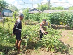 Bhabinkamtibmas Desa Panggreh Lakukan Pengecekan Lahan Ketahanan Pangan Sayuran di Jabon Sidoarjo