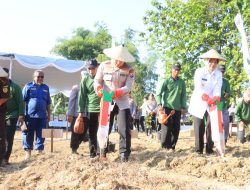 Dukung Kemandirian Pangan, Polres Bojonegoro Tanam Jagung Serentak di Lahan Perhutanan Sosial