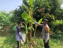 Polri Aktif Gerakkan Warga, Bripka M. Nur Ali Cek Lahan Sayur di Desa Semambung Sidoarjo