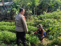 Bhabinkamtibmas Panggreh Lakukan Pengecekan Lahan Sayur Warga, Dukung Ketahanan Pangan Jabon