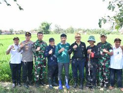 Kendalikan Hama Wereng Tanaman Padi, Dandim Ponorogo Langsung Temui Para Petani