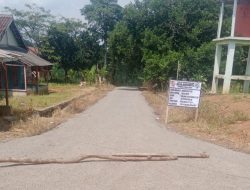 Pemdes Kubuhitu Bagun Jalan Lapen dari Dana Desa Ta. 2025