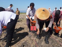 Polres Wonogiri Tanam Jagung di 25 Hektare Lahan Perhutanan Sosial, Dukung Ketahanan Pangan Nasional