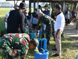 Turut Basmi Wereng Tanaman Padi, Upaya Dandim Ponorogo Sejahterakan Petani