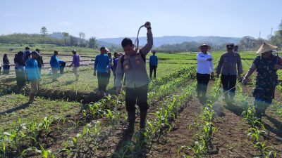 Dukung Swasembada Pangan, Polres Wonogiri Gelar Penanaman dan Pemupukan Jagung Serentak di Lahan Genangan Waduk Gajah Mungkur