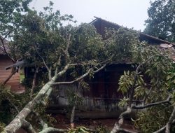 Hujan Disertai Angin Kencang, Puluhan Rumah Warga Sungkai Barat Lampung Utara Alami Kerusakan Serius