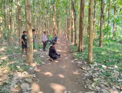 Perampasan Motor Disertai Kekerasan di Sutojayan, Korban Luka dan Kehilangan Kendaraan