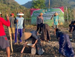 Polres Wonogiri Ajak Santri Tanam Jagung, Wujudkan Ketahanan Pangan