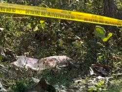 Warga Sampung Ponorogo Gempar Ditemukan Mayat Wanita Muda di Pinggir Hutan