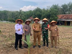 Dukung Ketahanan Pangan, Lapas Way Kanan Lakukan Penanaman Pohon Kelapa