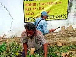 Upaya Penertiban Lahan Warisan di Sumenep, Ahli Waris Samiyah Bin Samiudin Giat Membersihkan Tanah Miliknya