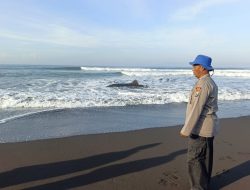Hiu Tutul Mati Terdampar di Pantai Selatan Wisata Pancer Puger Jember