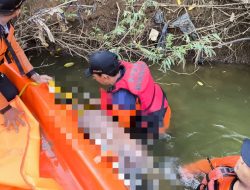 Pencarian Sejak Kamis Malam, Tim Gabungan Temukan Pria Tenggelam di Bengawan Solo Meninggal Dunia