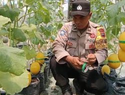 Dari Tanah Kosong Jadi Ladang Harapan, Ketulusan Aipda Mistono Berbuah Inspirasi