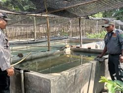 Polsek Tarik Lakukan Patroli Ketahanan Pangan di Desa Mergosari