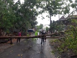 Pohon Tumbang Hadang Jalan, TNI-Polri dan Warga Lakukan Evakuasi