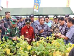 Kabupaten Lampura Siap Sambut Presiden Prabowo, Kasal dan Bupati Tinjau Lokasi Panen Ketahanan Pangan TNI AL