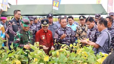 Kabupaten Lampura Siap Sambut Presiden Prabowo, Kasal dan Bupati Tinjau Lokasi Panen Ketahanan Pangan TNI AL