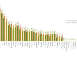 Bojonegoro Menempati Posisi Kedua Produksi Padi se-Jawa Timur