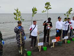 Bupati Situbondo Bersama Astin Tanam 1000 Pohon Mangrove di Pantai Sedulur