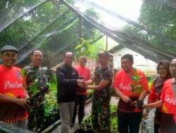 Galakkan Penghijauan, Kodim Ponorogo dan Dishut CDK Pacitan Tingkatkan Kerjasama Pembuatan Bibit