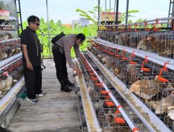 Dukung Program Asta Cita Presiden, Bhabinkamtibmas Sidodadi Sambangi Peternakan Ayam Petelur