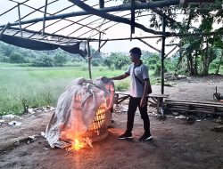 Tindaklanjuti Dumas, Polsek Jabon Bongkar Arena Judi Sabung Ayam di Desa Trompoasri