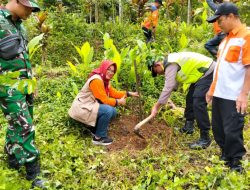 Hijaukan Lahan Kritis, Polsek Tirtomoyo Dukung Penanaman 750 Pohon Cegah Longsor di Wonogiri