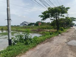 Rencana Pendirian Pabrik Pengolahan Kayu di Waruwetan Lamongan Menuai Polemik Dikalangan Warga