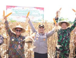 Polres Wonogiri Bersinergi Gelar Panen Raya Jagung Serentak di Sidoharjo