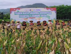 Polres Jember Laksanakan Panen Raya Jagung Kuartal I tahun 2026 di Desa Lojejer