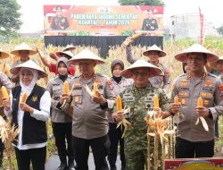 Polda Jatim Gelar Panen Raya Jagung Kuartal I 2026 di Sidoarjo