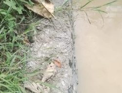 Proyek Tanpa Identitas dan Papan Kegiatan Kian Marak di Ponorogo