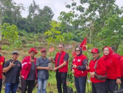 Rayakan HUT ke -53 dan Ultah Megawati, DPC PDI-Perjuangan Kabupaten Mojokerto Gelar Aksi Merawat Pertiwi, Tabur Benih serta Tanam Pohon