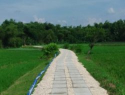 Tranportasi Murah Pendapatan Bertambah Petani Bungah, 163 Titik JUT Akan di Bangun Tahun 2026