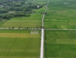 Jalan Nglener Membentang Hamparan Sawah Hijau Royo Royo, Jalur Pedesaan di Balen-Bojonegoro