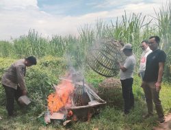 Respon Aduan Warga, Polsek Prambon Datangi Lokasi Sabung Ayam di Desa Jatikalang
