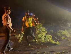 Pohon Tumbang Tutup Jalur Wonogiri – Ponorogo, Polisi Bergerak Cepat Amankan Arus Lalu Lintas