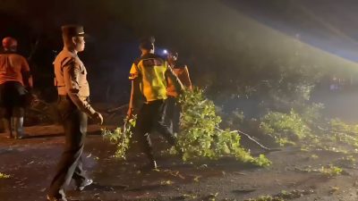 Pohon Tumbang Tutup Jalur Wonogiri – Ponorogo, Polisi Bergerak Cepat Amankan Arus Lalu Lintas