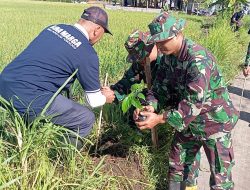 Hijaukan Lingkungan, Kodim Ponorogo Lakukan Tanam Anakan Bibit Pohon