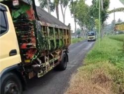 Jalan Pakis Badrang Parangharjo Songgon Hancur Akibat Truk ODOL Muatan Pasir Galian C