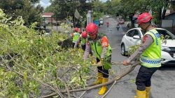 Gerak Cepat Brimob Simongan Evakuasi Pohon Tumbang, Akses Jalan dan Masjid At Taqwa Kembali Aman